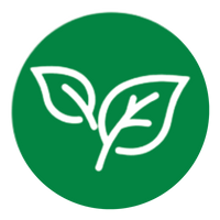 NATURAL ENERGY + FOCUS SUPPORT